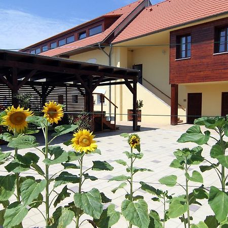 Hotel Pod Sluncem Třebíz 외부 사진