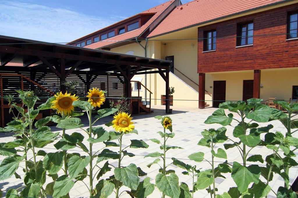 Hotel Pod Sluncem Třebíz 외부 사진
